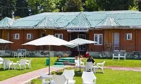 Golden Mark Camp 