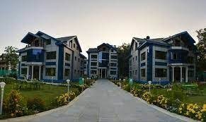 Golden Mark Camp 