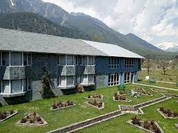 Golden Mark Camp 